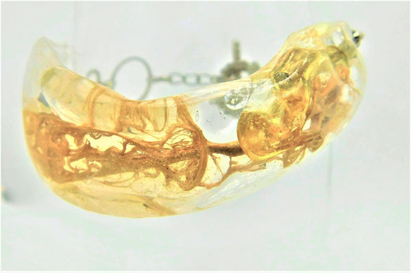 Transparente