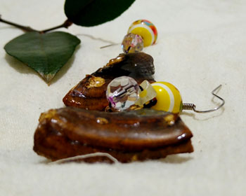 Aretes yeho
