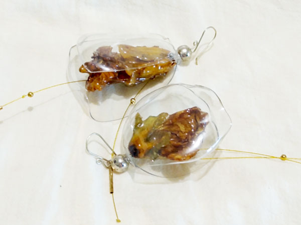 Aretes sereno
