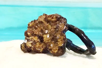 Anillo marino