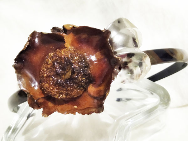 Diadema flor coco