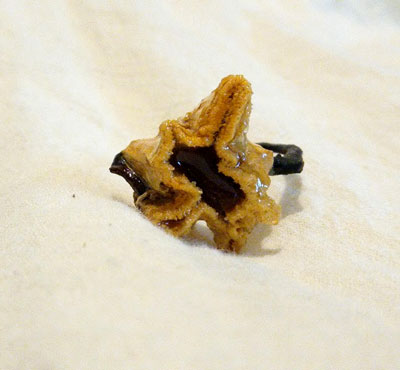 Anillo brocolí enramada