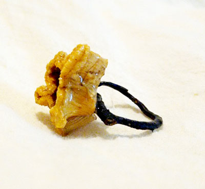 Anillo brocolí enramada