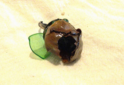 Anillo coco verde