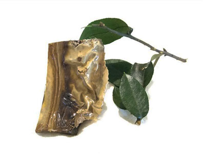 Anillo maguey enor