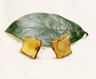 Aretes penca cuadrados petit