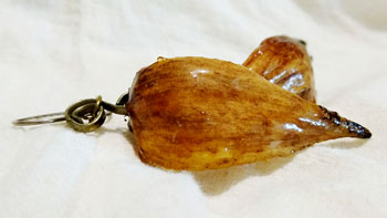 Aretes vida