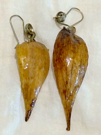 Aretes vida